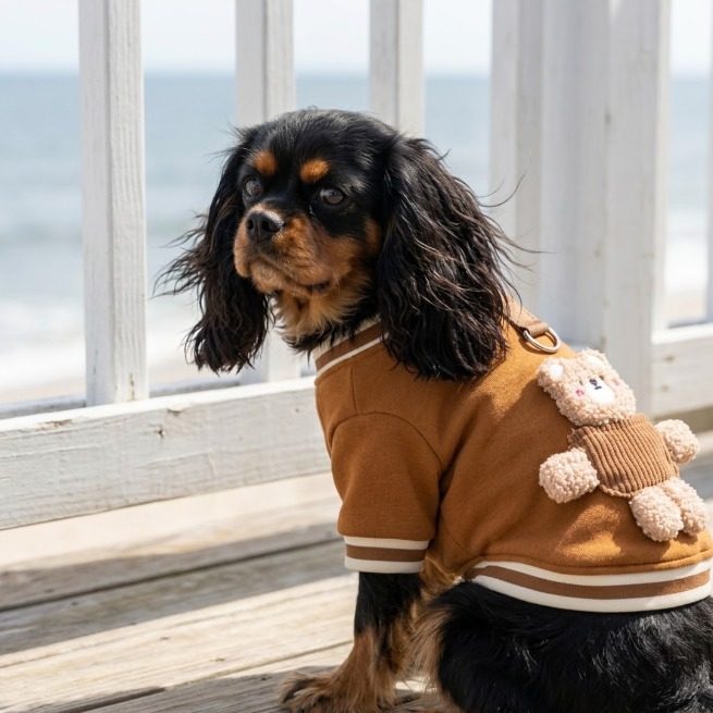 Sweat chien caramel ourson 3D